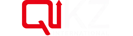 QIKZ International Logo